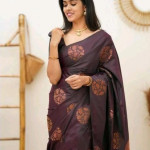 Charvi Drishya Multi Banarasi Silk Sarees